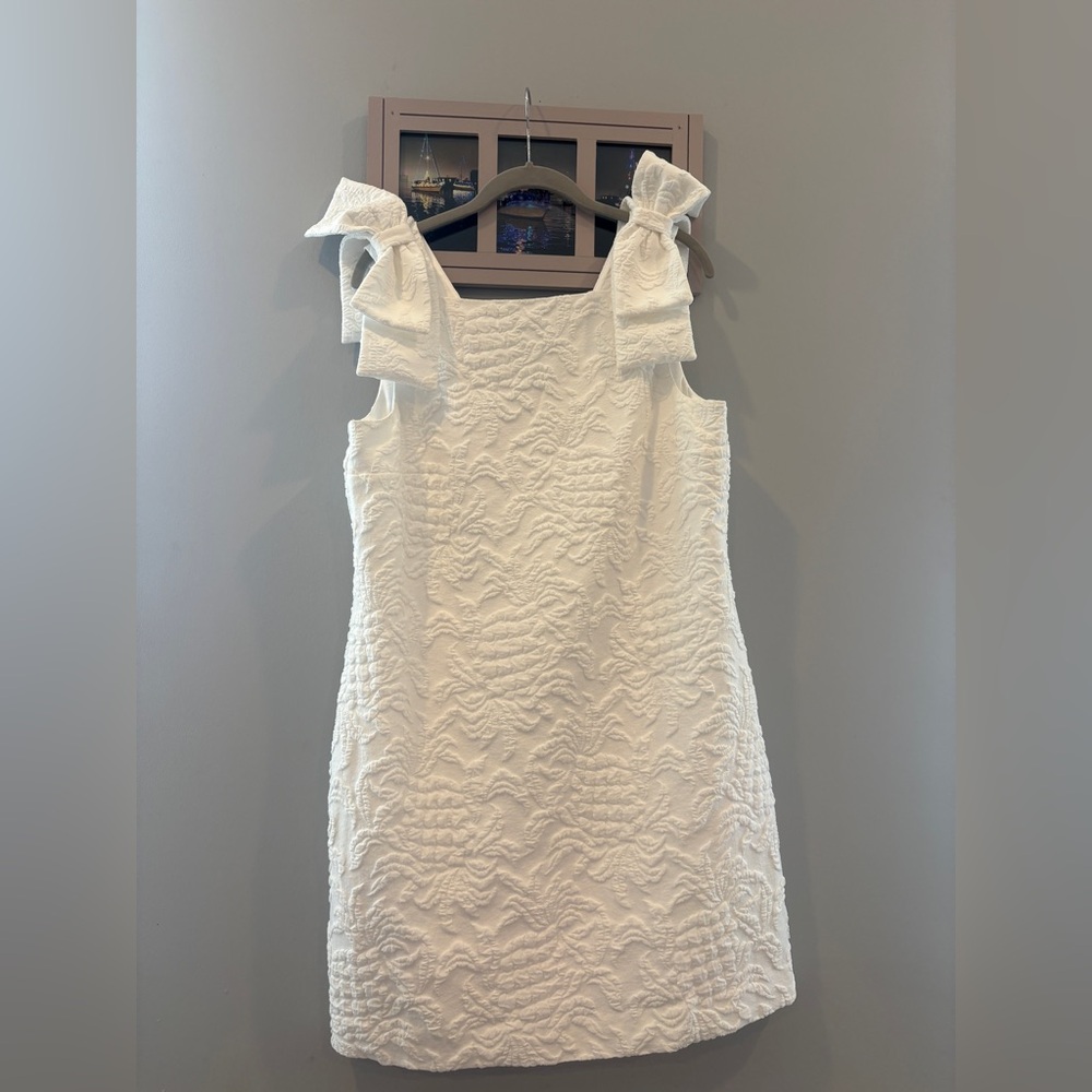 Lilly Pulitzer Carmine Shift Dress